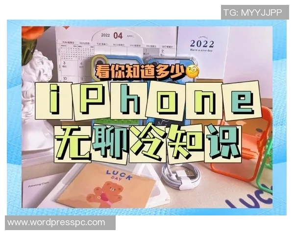 你不知道的总决赛：十大冷知识大揭秘